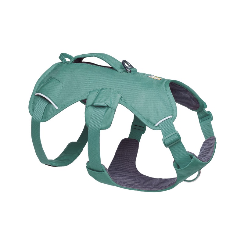 Ruffwear Web Master Dog Harness with Neck Buckle and Handle (River Rock Green)