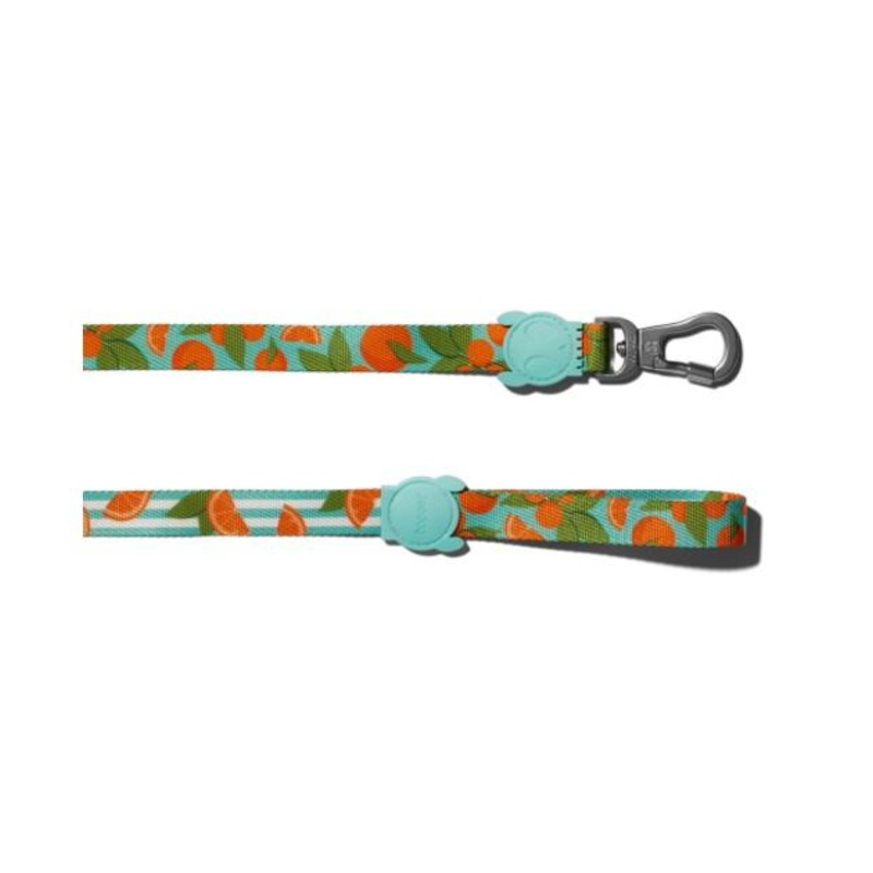 Zee.Dog Florida Dog Leash