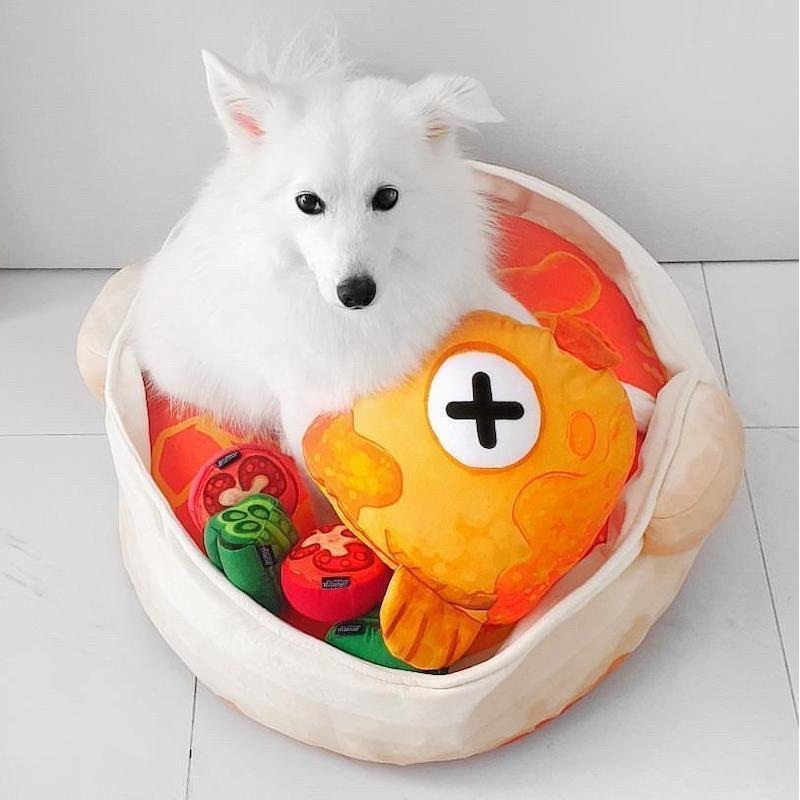 Furball Collective Curry Fish Head Pet Bed Set