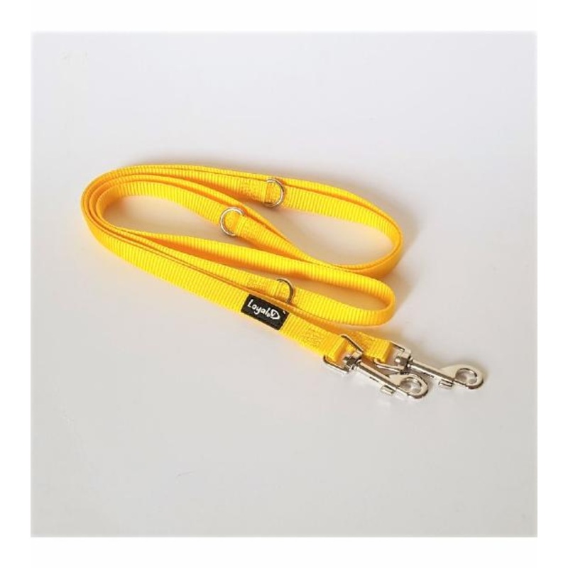 Loyal.D Multi-Purpose.D Yellow Dog Leash