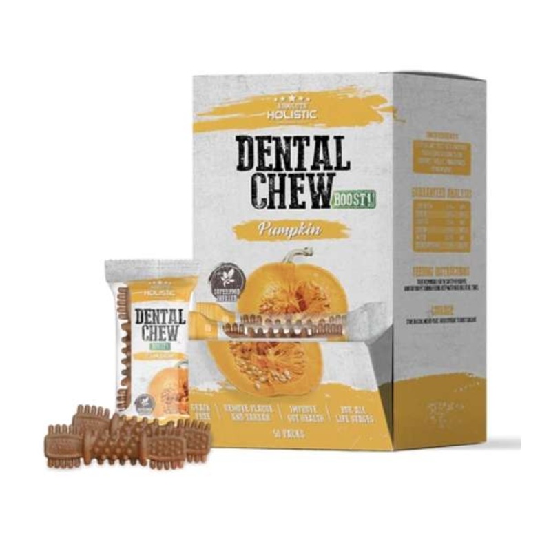 Absolute Holistic Dental Dog Chews (Pumpkin)
