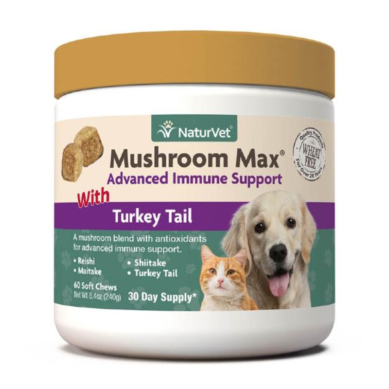 TRY & BUY: NaturVet Mushroom Max with Turkey Tail (Advanced Immunity Support) Supplements for Dogs & Cats