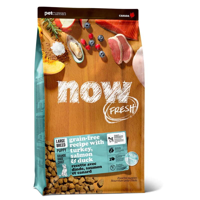 Now Fresh Large Breed Puppy Dog Food