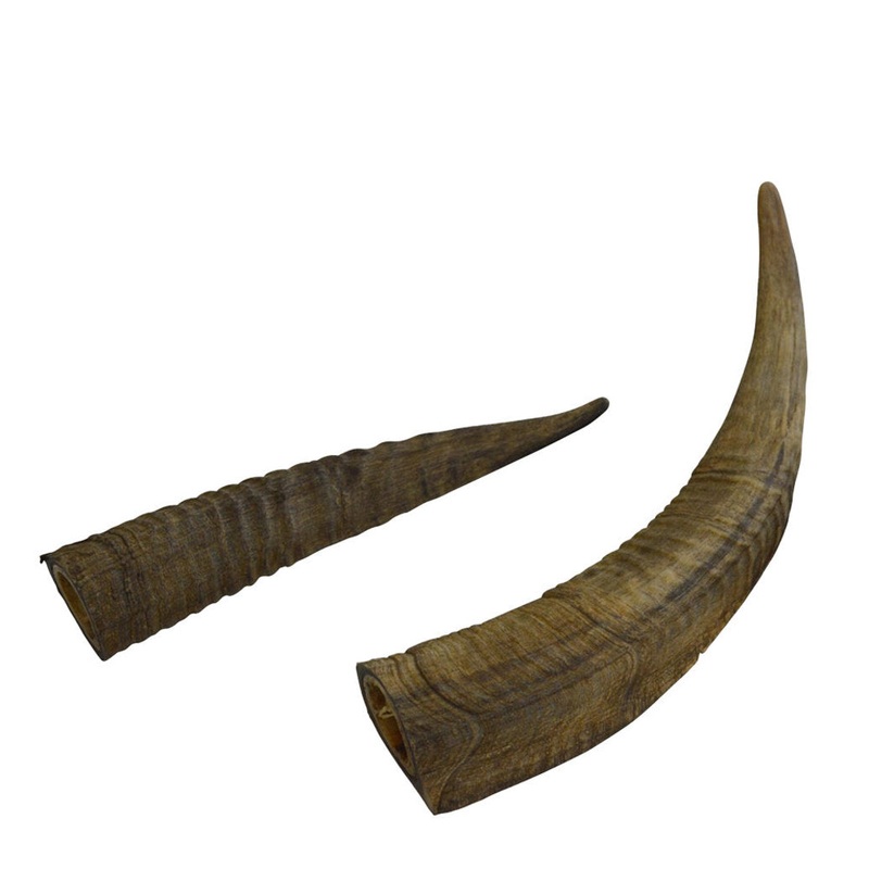 Nature's Own Goat Horn