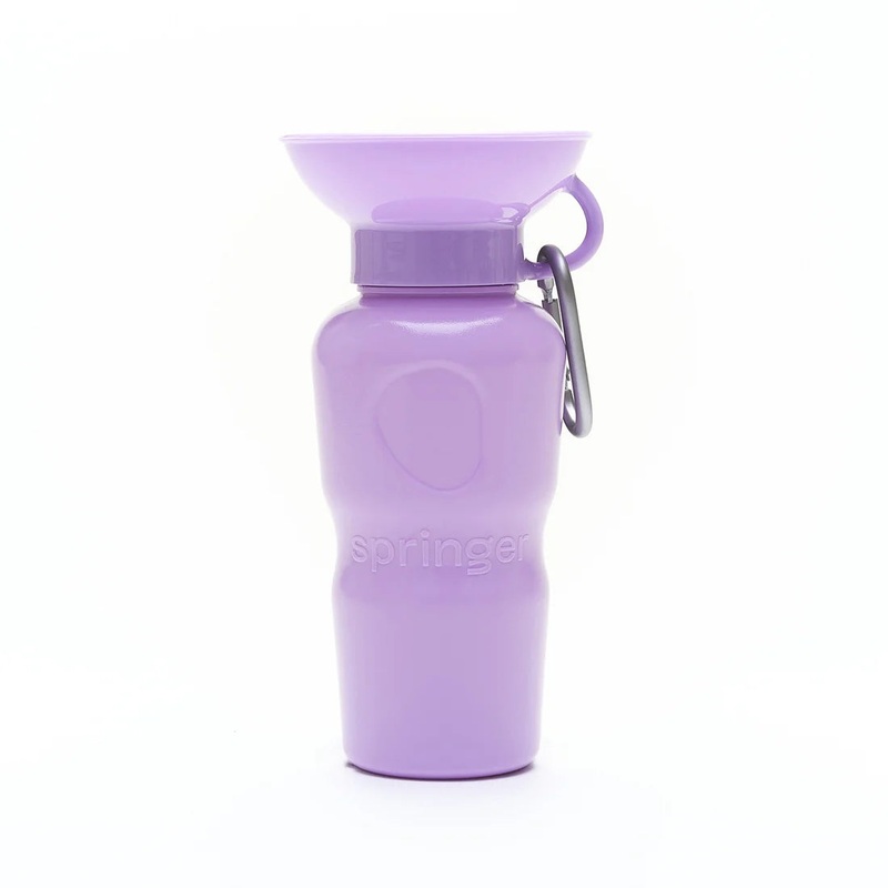 Springer Travel Water Bottle